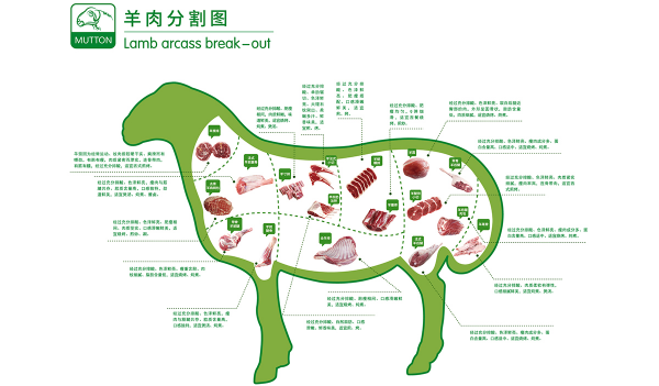 羊肉分割圖